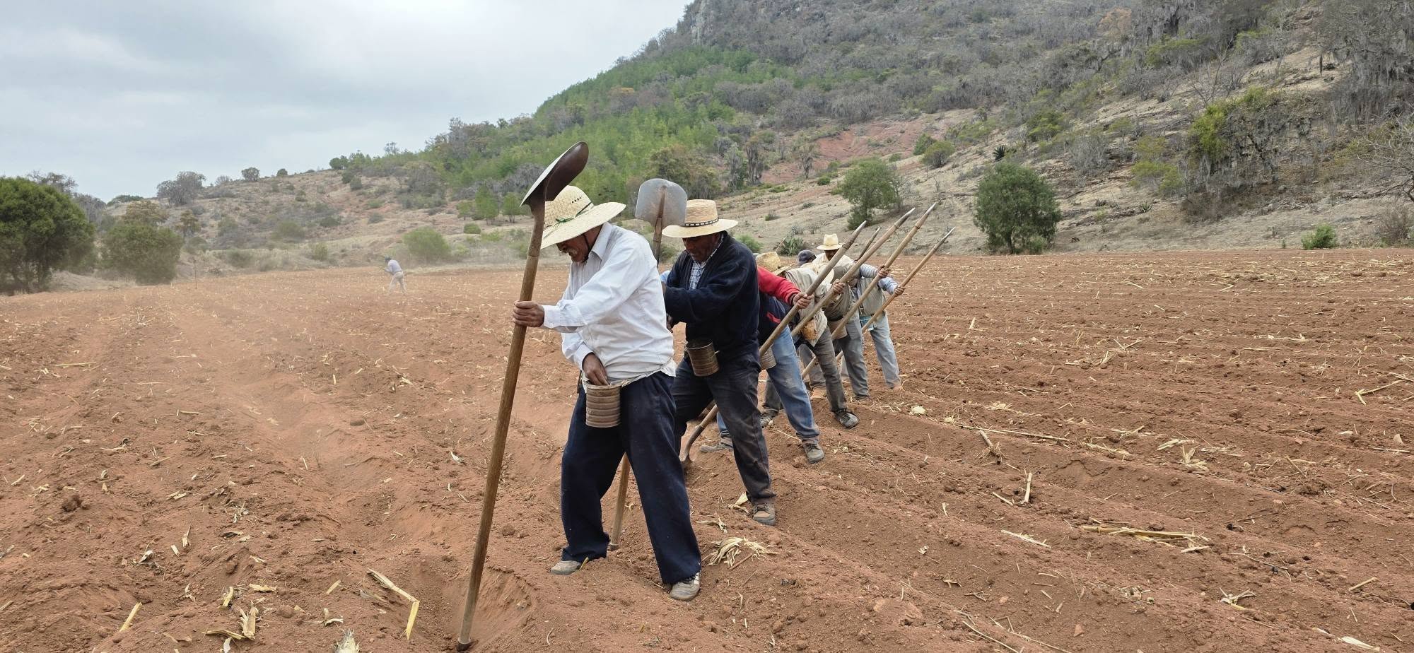 ¡DESDE LA MIXTECA: TOOXI DESAFÍA EL OLVIDO Y RESUCITA LA TIERRA CON SABER ANCESTRAL!
